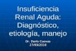 Insuficiencia Renal Aguda: Diagnóstico, etiología, manejo Dr. Darío Cuevas 27/09/2010
