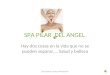 SPA PILAR DEL ANGEL Hay dos cosas en la vida que no se pueden separar…. Salud y belleza SPA PILAR DEL ANGEL FRANQUICIAS