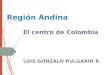 Región Andina El centro de Colombia LUIS GONZALO PULGARÍN R