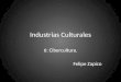 Industrias Culturales 6: Cibercultura. Felipe Zapico