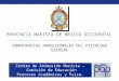 COMPETENCIAS PROFESIONALES DEL PSICÓLOGO ESCOLAR PROVINCIA MARISTA DE MÉXICO OCCIDENTAL Centro de Animación Marista – Comisión de Educación Procesos Académicos