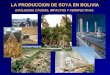 LA PRODUCCION DE SOYA EN BOLIVIA EVOLUCION, CAUSAS, IMPACTOS Y PERSPECTIVAS