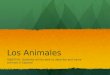 Los Animales OBJETIVO: Students will be able to describe and name animals in Español