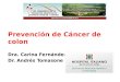 CONGRESO FAMFYG Prevención de Cáncer de colon Dra. Carina Fernández Dr. Andrés Tomasone