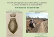 Intensificación agropecuaria sustentable y adaptación al cambio climático en la Amazonia/Beni Amazonia Sostenible Cuadrilla de construcción precolombina