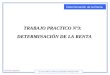 Faculta de Ingeniería 71.06 ESTRUCTURA ECONOMICA ARGENTINA Determinación de la Renta TRABAJO PRACTICO Nº3: DETERMINACIÓN DE LA RENTA