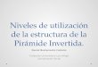Niveles de utilización de la estructura de la Pirámide Invertida. Daniel Bustamante Castaño Fundación Universitaria Luis Amigó Comunicación Social
