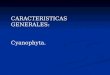 CARACTERISTICAS GENERALES: Cyanophyta