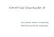 Creatividad Organizacional José Pedro Terrés Hernández Administración de empresas