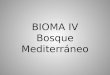BIOMA IV Bosque Mediterráneo. Localización 30° – 40° Latitud Norte y Sur Lado occidental (Oeste) de los continentes