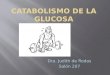 Dra. Judith de Rodas Salón 207. Para obtener la energía de la glucosa hay tres pasos:  Glucólisis: degradación de glucosa a piruvato  Ciclo de Krebs