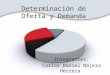 Determinación de Oferta y Demanda Integrantes: Carlos Daniel Nájera Herrera Kevin Martínez Muñoz