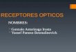 RECEPTORES OPTICOS NOMBRES:  Gonzalo Asturizaga Irusta  Yussef Panoso Besmalinovick