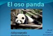 Raúl Giner Escudero Ailuropoda melanoleuca. Descripción. El oso panda pertenece al reino de los animales. Es un mamífero. Generalmente es herbívoro pero