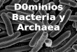 D0minios Bacteria y Archaea. Principales representantes: Bacterias, Cianobacterias, Arqueobacterias. Son unicelulares, procariotas. Las hay autótrofas