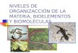 NIVELES DE ORGANIZACCIÓN DE LA MATERIA, BIOELEMENTOS Y BIOMOLÉCULAS