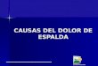 GIROMA S.A. Licencia SO 5263 DSSA CAUSAS DEL DOLOR DE ESPALDA