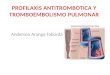 Anderson Arango Taborda. HEMOSTASIA PRIMARIA - Lesion del endotelio -Adhesion plaquetaria - Degranulacion plaquetaria - Fijacion del factor X y activar
