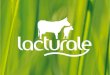 Identidad  Lacturale fue fundado en el año 2005 por un grupo de 25 ganaderos de Navarra que deciden unirse para comercializar la leche producida en sus