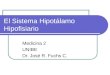 El Sistema Hipotálamo Hipofisiario Medicina 2 UNIBE Dr. José R. Fuchs C