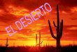 Definición y características principales  Algunos desiertos más importantes  Clima  Suelo  Flora * Cactus  Fauna * Dromedarios
