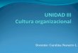 Docente: Carolina Navarro L. Definición de cultura Edgar Schein, define a la cultura como: “Patrón de supuestos básicos que el grupo ha inventado, descubierto