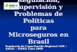 1 Seminario de Capacitación Regional IAIS – ASSAL – FIDES Lima 2009 Regulación, Supervisión y Problemas de Políticas para Microseguros en Brasil