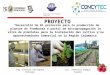 Servicios Procesadora Peru SAC “Desarrollo de 01 protocolo para la producción de plantas de frambuesa a partir de micropropagación in vitro de plántulas