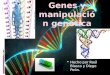 Hecho por Raúl Blasco y Diego Peón.. Portada-Diapositiva 1 Índice, introducción y conocimientos básicos-Diapositivas 2-4 El material de los genes (ADN)-Diapositiva