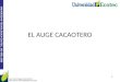 UNIVERSIDAD TECNOLÓGICA ECOTEC. ISO 9001:2008 EL AUGE CACAOTERO Ing. Aison Piguave García MSc. DOCENTE UNIVERSIDAD ECOTEC 1