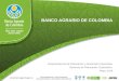 BANCO AGRARIO DE COLOMBIA Vicepresidencia de Planeación y Desarrollo Corporativo Gerencia de Planeación Corporativa Mayo 2014