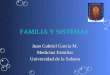 FAMILIA Y SISTEMAS Juan Gabriel García M. Medicina Familiar Universidad de la Sabana