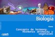 PPTCES007CB31-A15V1 Clase Concepto de hormona. Hormonas animales y vegetales