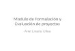 Modulo de Formulación y Evaluación de proyectos Ariel Linarte Ulloa
