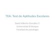 TEA: Test de Aptitudes Escolares David Alberto González F: Universidad El Bosque Facultad de psicología