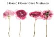 5 Basic Flower Care Mistakes