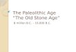 Mayer - World History - Paleolithic Age
