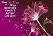 Florist Tips for Keep Blossoms Fresh & Longer lasting