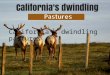 California's dwindling pastures