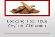 Looking For True Ceylon Cinnamon