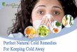 Perfect Natural Cold Remedies For Keeping Cold Away Effectiv