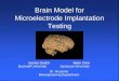 Brain Model for Microelectrode Implantation Testing