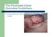 The Postnatal Client Overview Guidelines