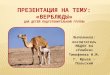 Презентация на тему: «Верблюды» для детей подготовительной группы