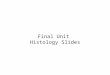 Final Unit  Histology Slides
