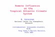 Remote Influences  on the  Tropical Atlantic Climate System