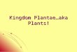 Kingdom Plantae…aka Plants!