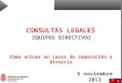 CONSULTAS LEGALES