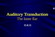 Auditory Transduction The Inner Ear