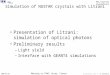 Simulation of NUSTAR crystals with Litrani